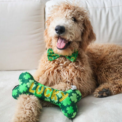 Huxley & Kent Lucky Charm Dog Bow Tie