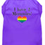 I Have Two Daddies Rainbow Heart Pride Pet T-Shirt Size LG