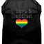 I Have Two Daddies Rainbow Heart Pride Pet T-Shirt Size LG