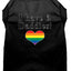 I Have Two Daddies Rainbow Heart Pride Pet T-Shirt Size XXXL