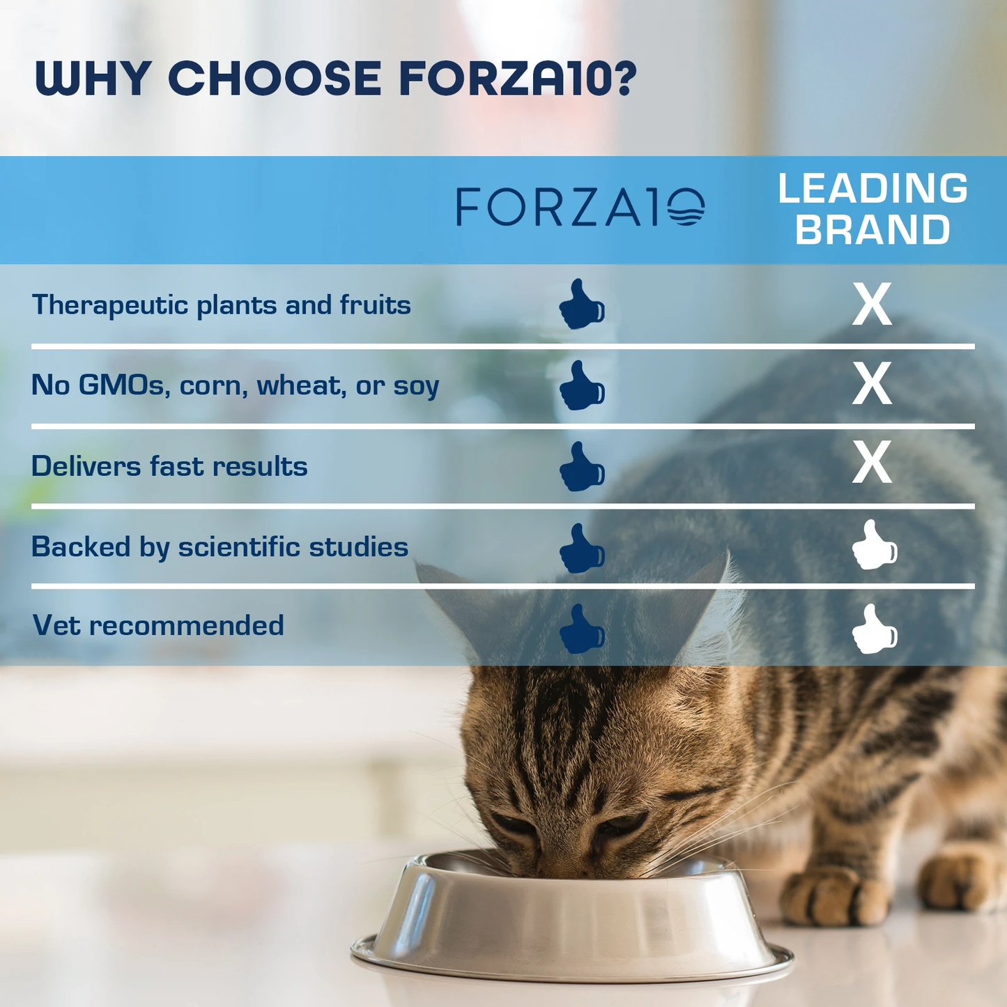 Forza10 Actiwet Renal Support Canned Cat Food