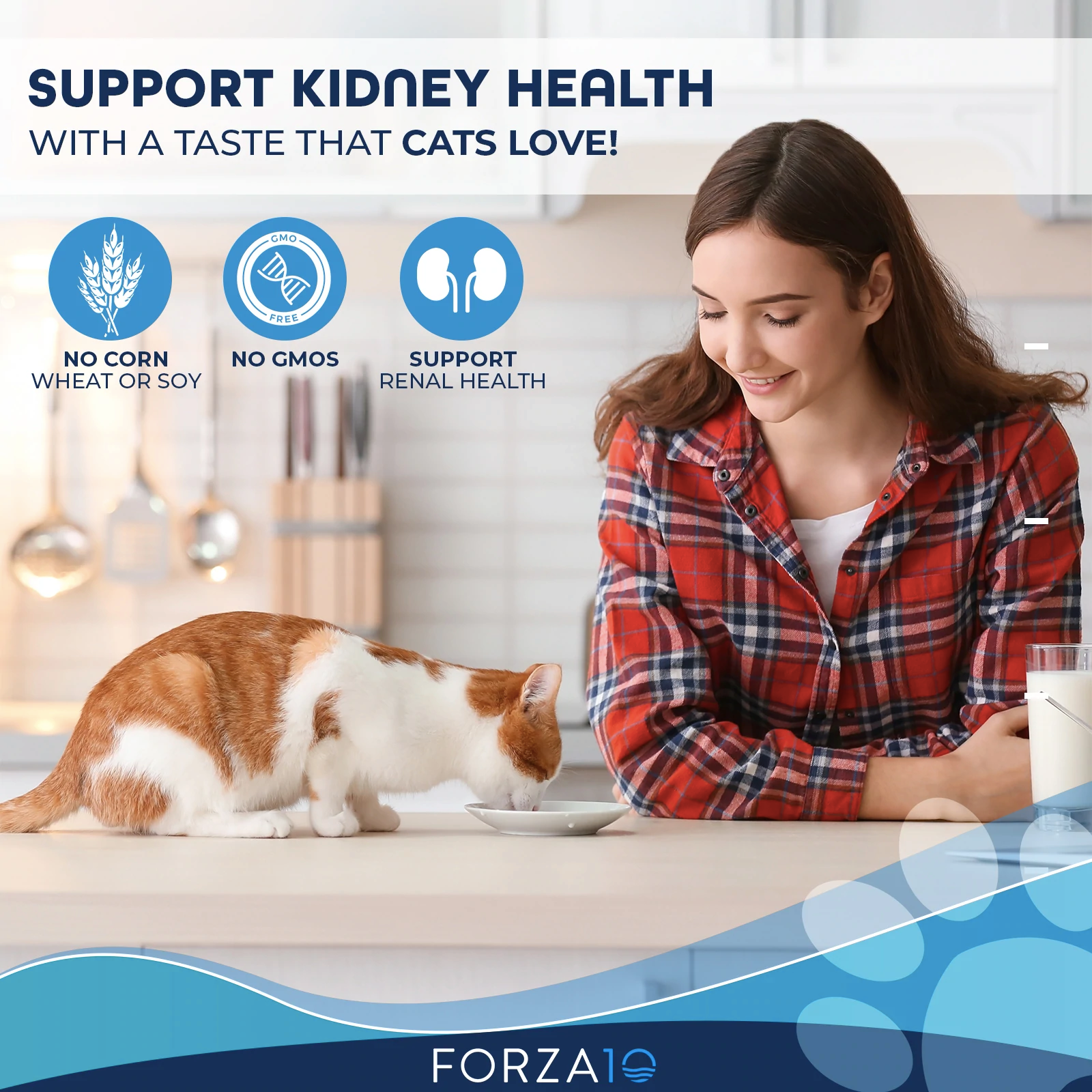 Forza10 Actiwet Renal Support Canned Cat Food