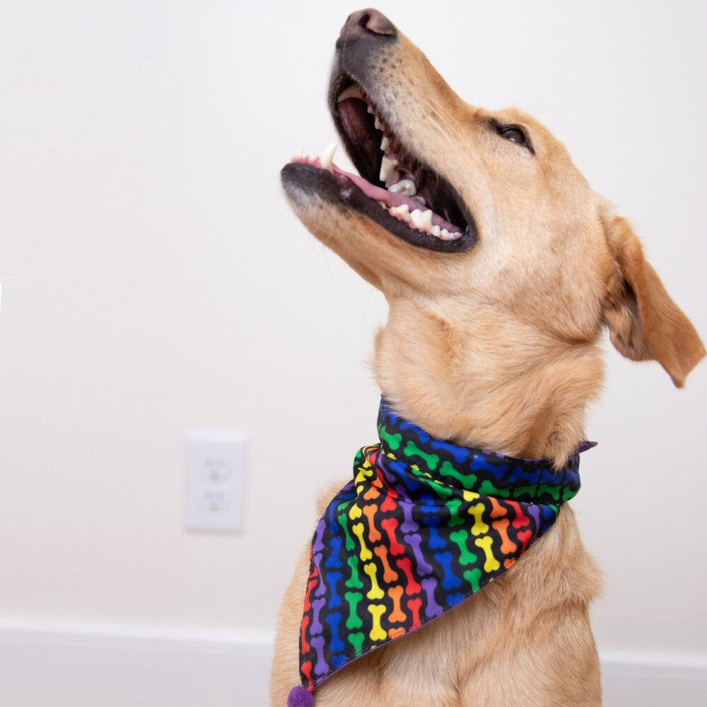 Huxley & Kent Pride Dog Bandana