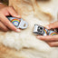 Buckle-Down Rainbows & Stars Seatbelt Dog Collar