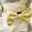 Lemonade Dog Collar