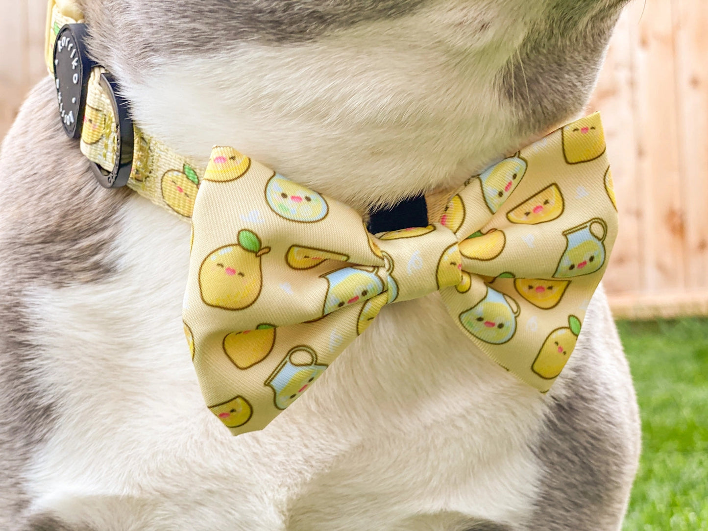 Lemonade Dog Collar