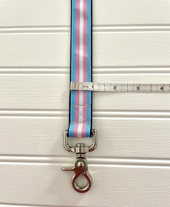 Thimble & Thread Transgender Pride Dog Leash