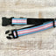 Thimble & Thread Transgender Pride Dog Collar