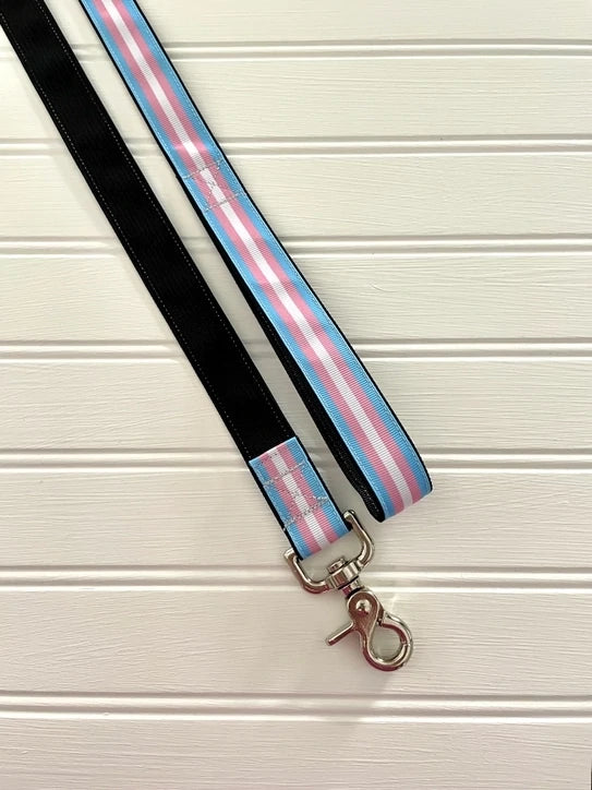 Thimble & Thread Transgender Pride Dog Leash