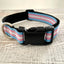 Thimble & Thread Transgender Pride Dog Collar