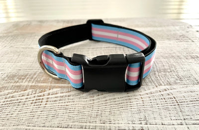 Thimble & Thread Transgender Pride Dog Collar