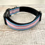 Thimble & Thread Transgender Pride Dog Collar