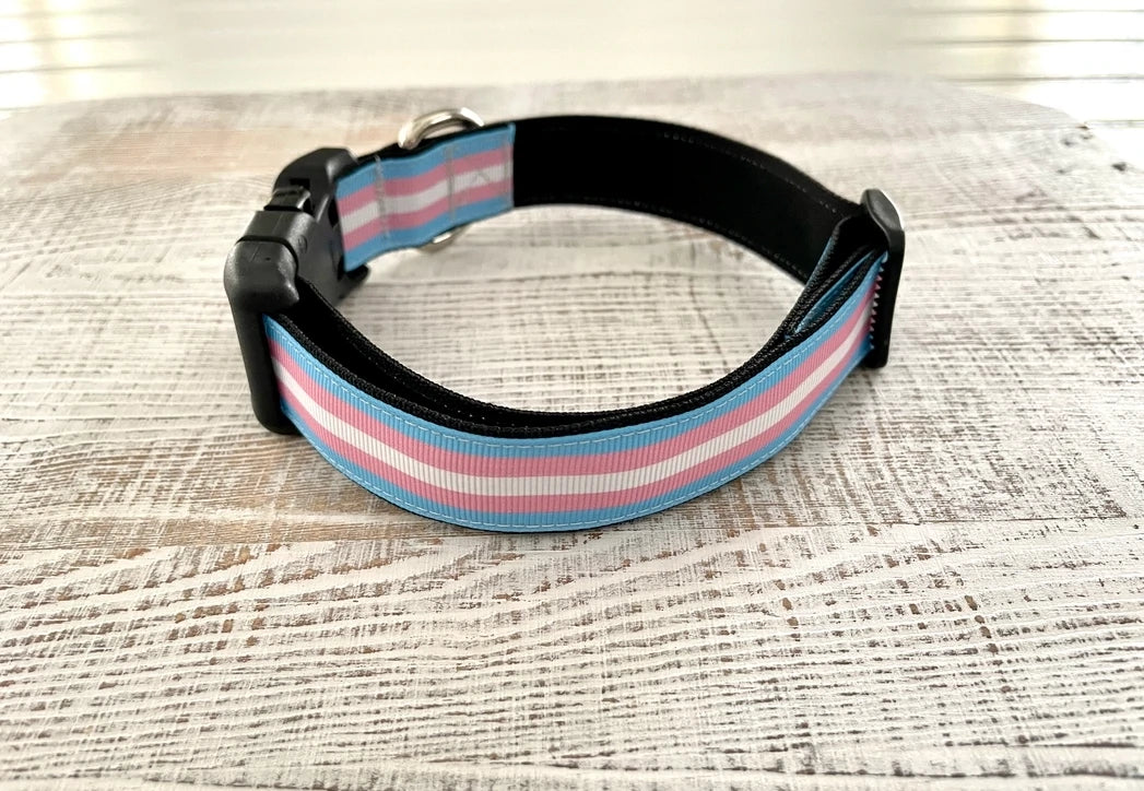 Thimble & Thread Transgender Pride Dog Collar