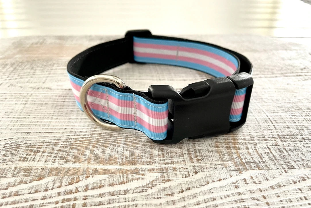 Thimble & Thread Transgender Pride Dog Collar