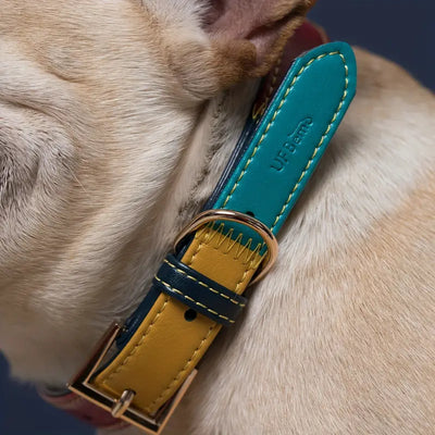 Three Color Adjustable Soft Dog Collar