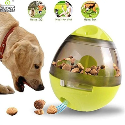 Interactive Dog Toy