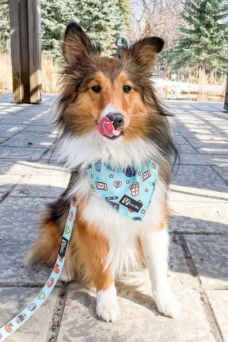 PupFix Cooling Bandana