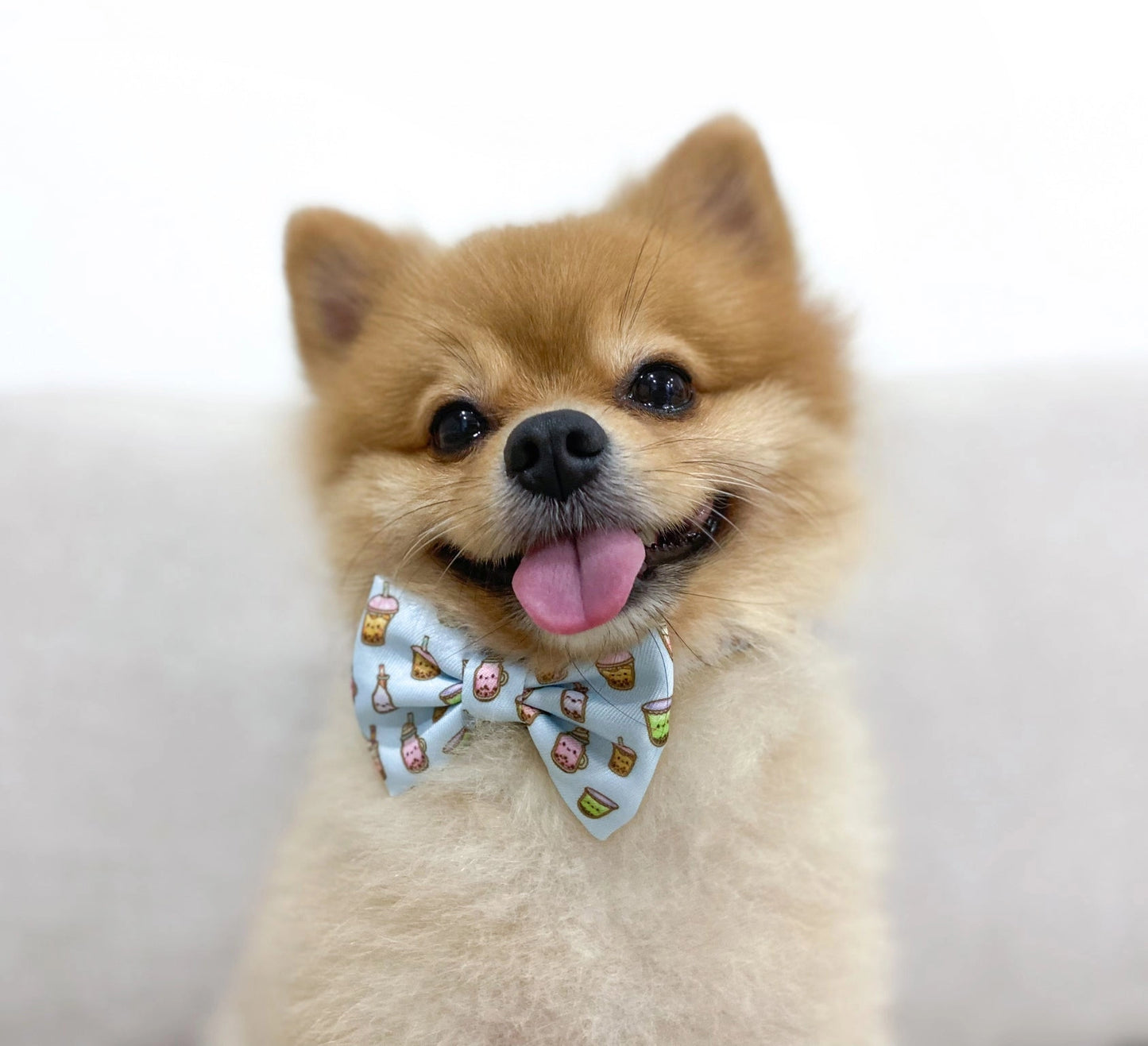 Boba Bow Tie