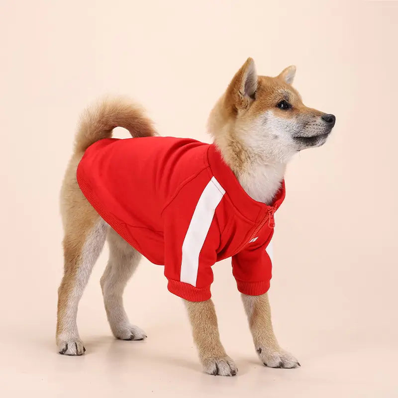 Dog Sport Jacket