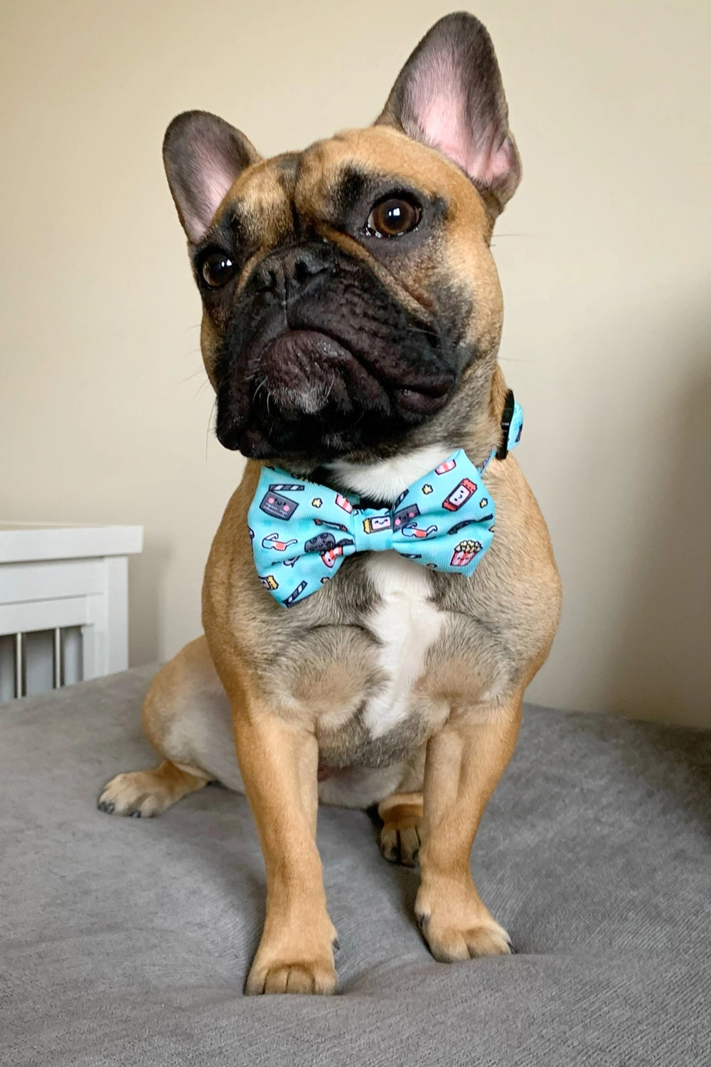 PupFlix Bow Tie