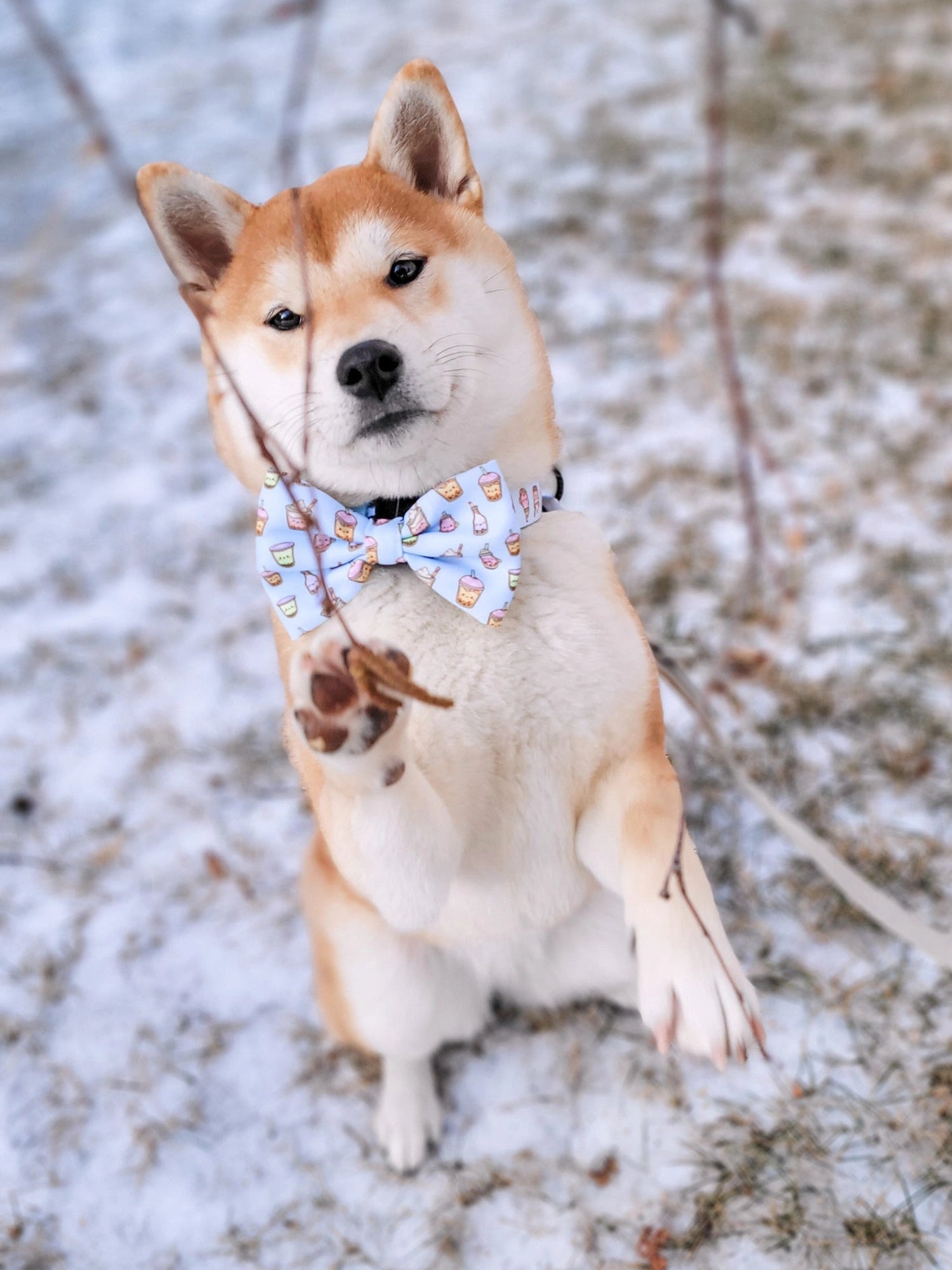 Boba Bow Tie