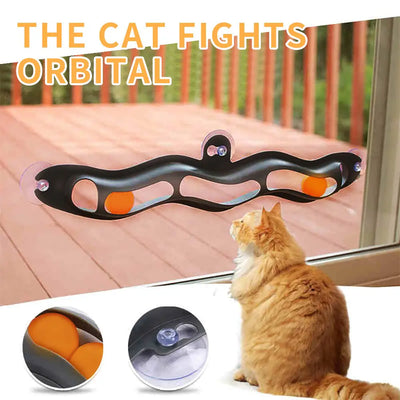 Cat Track Ball Toy