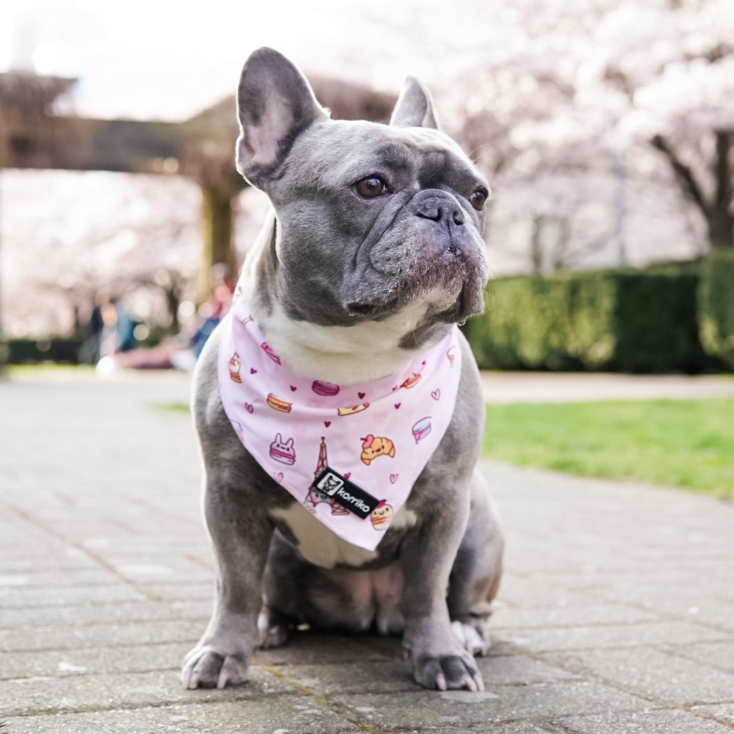 Paris Cooling Bandana