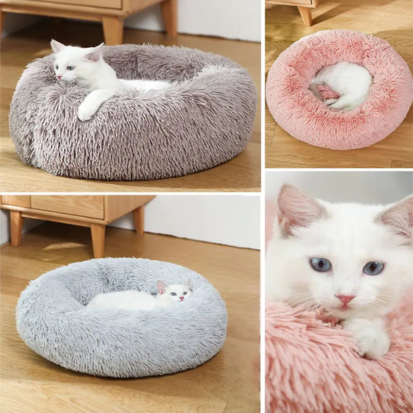 Donut Bed