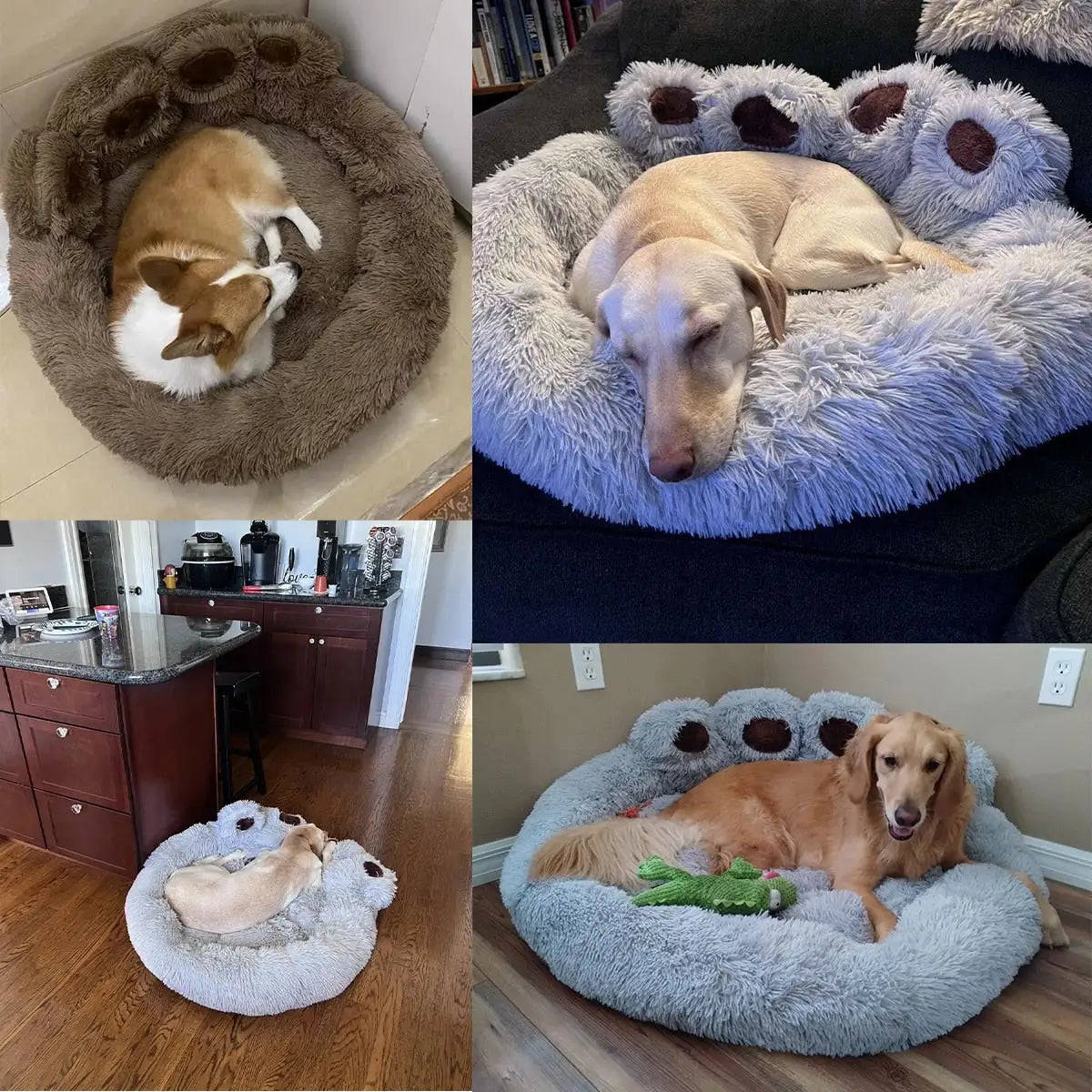 Paw shaped Bed