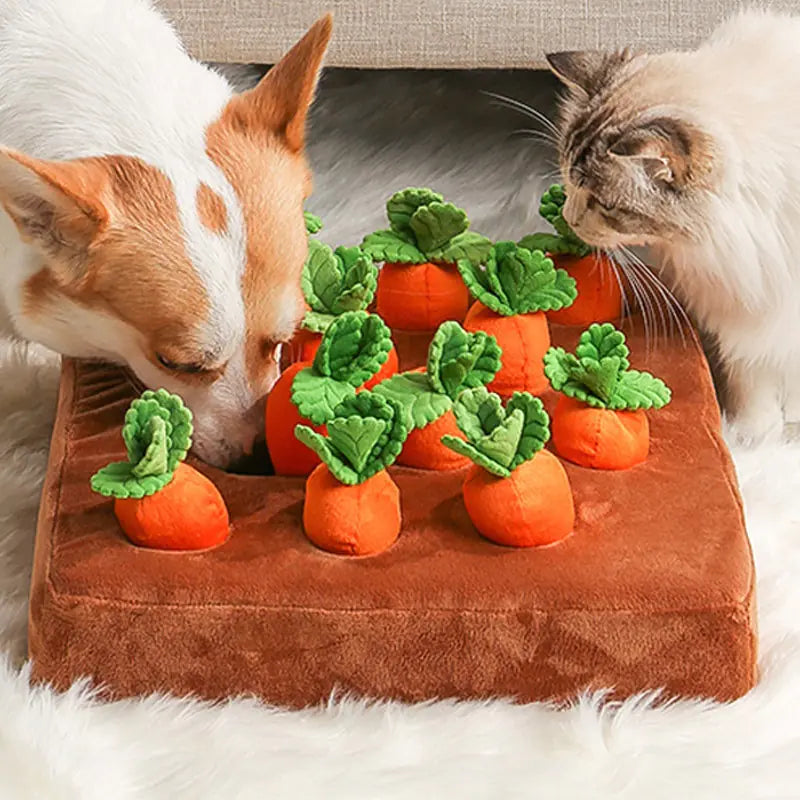 Dog Enrichment Sniff Toy Fruits