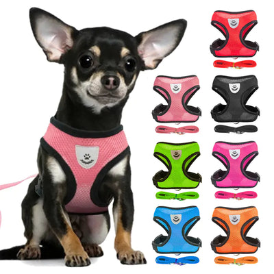 Step in Dog Harness with Leash