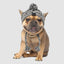 Dog Beenie