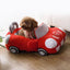 Red Furrari Car Dog Bed