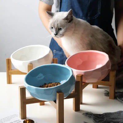 Ceramic Cat Bowl with Bamboo Stand