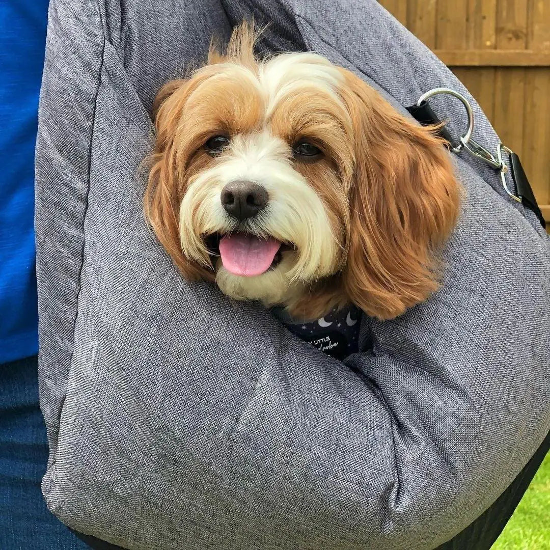 Pet Travel Bag for car seat