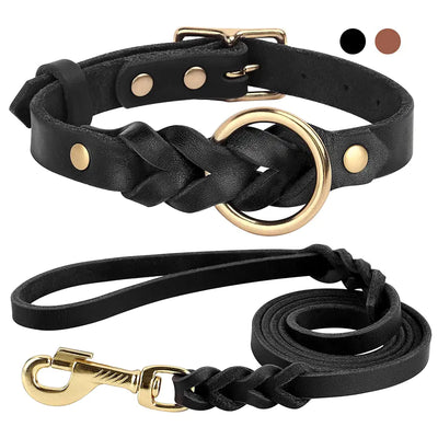 Braided Dog Collar and Leash Set