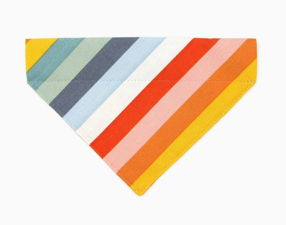 Pride Bandana for Cats and Small dogs