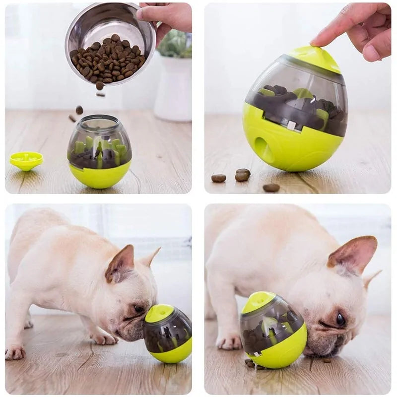 Interactive Dog Toy