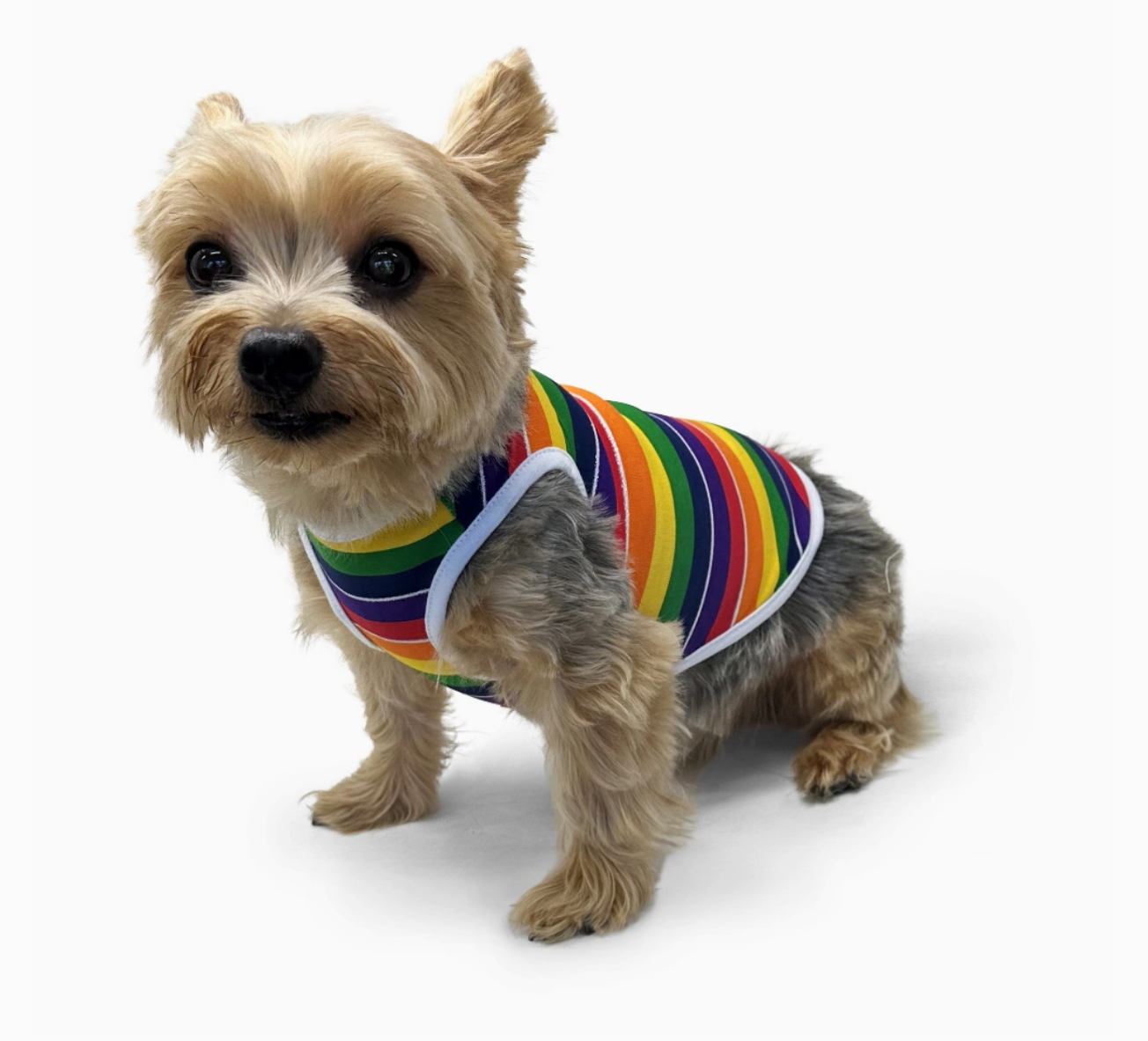 Pride Tank Top