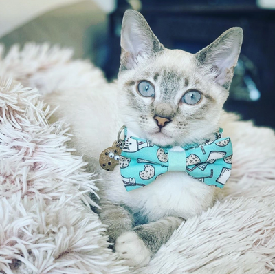 Cookies and Milk Bow Tie For Cats + Small Dogs