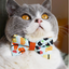 Sushi Bow Tie for Cats + Small Dogs