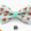 Watermelon Bow Tie for Cats + Small Dogs