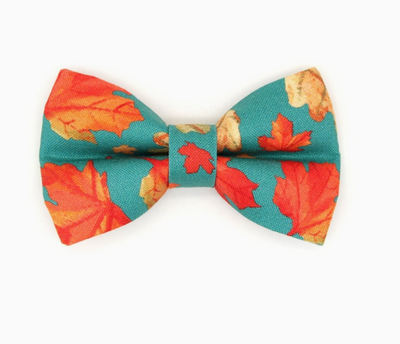 Fall Bow Tie For Cats + Small Dogs