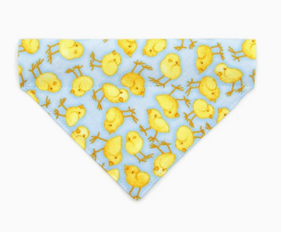 Blue Chick Bandana For Cat + Small Dog