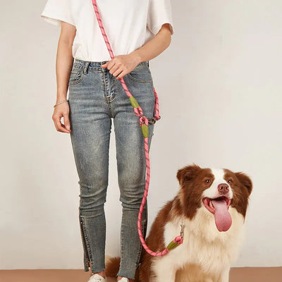 Hands-free Reflective Nylon Dog Leashes