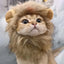 Lion Cat Costume