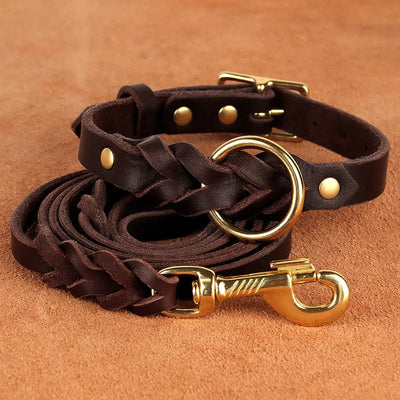 Braided Dog Collar and Leash Set