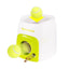 Automatic Ball Launcher Dog Toy
