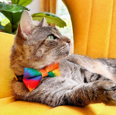 Rainbow Tie-Dye Bow Tie for Cats and Small dogs