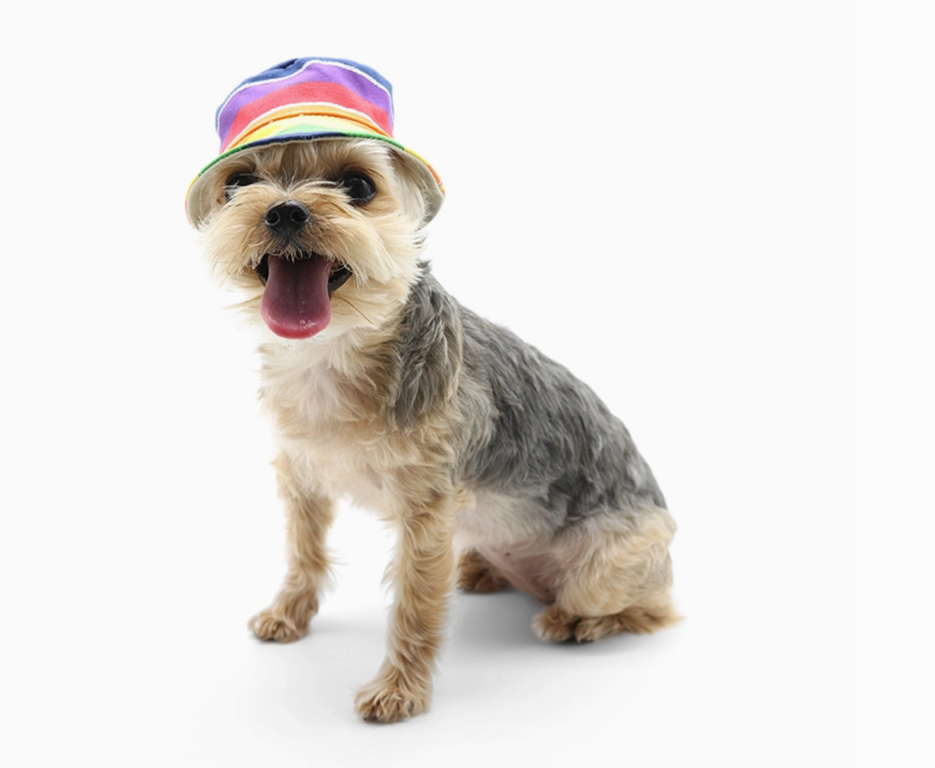 Bucket Hat Rainbow